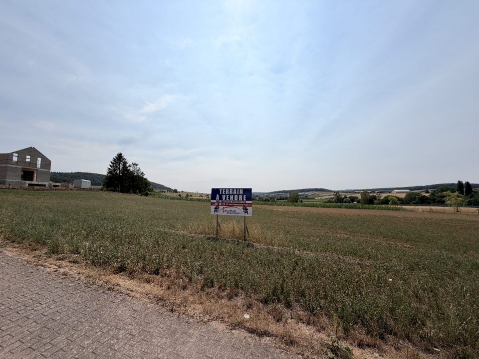Auf Pohfeleck